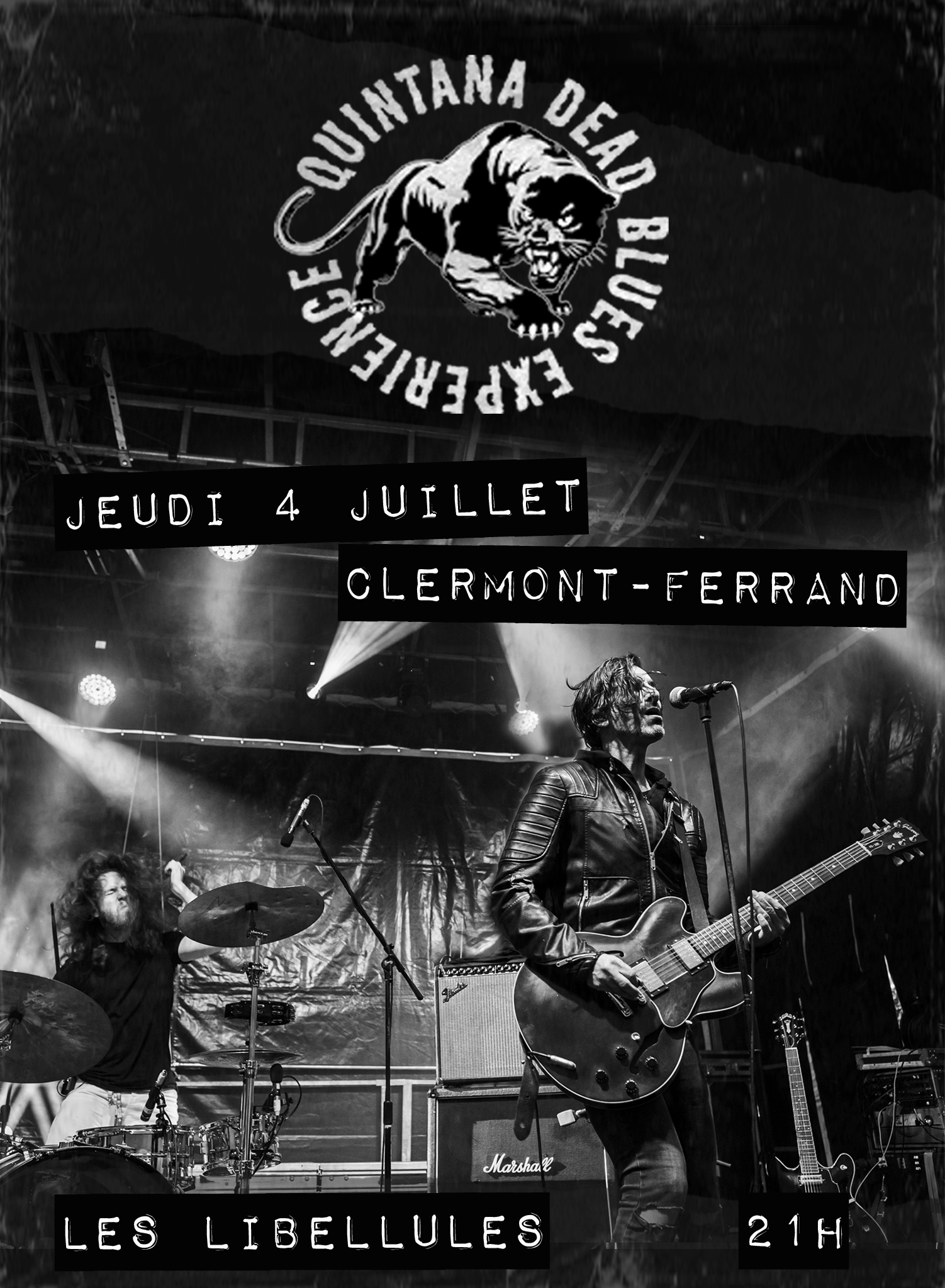 libellules affiches.jpg (1.12 MB)